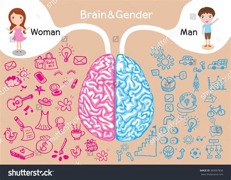 what is the difference between man and men|How men's and women's brains are different.
